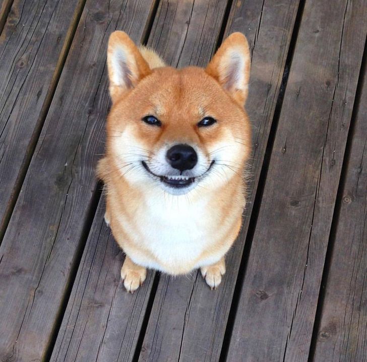 b1bd975d2999f9da87fe49d360