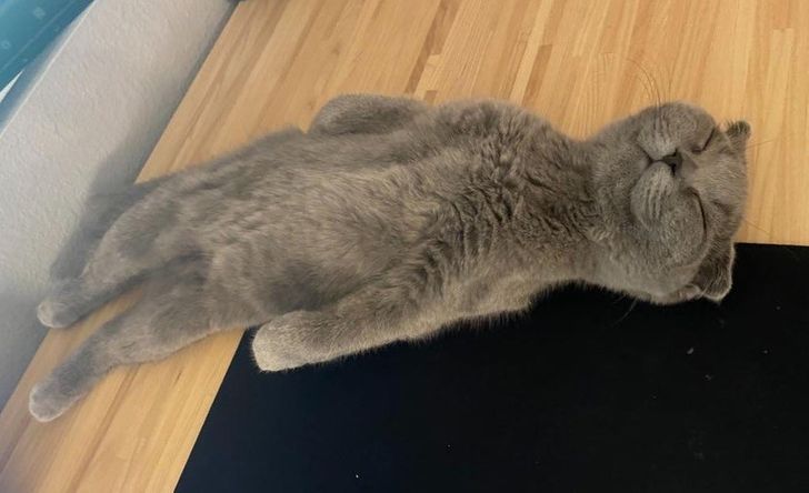 b1c28d5755bcfb3cc42d6a4e7e