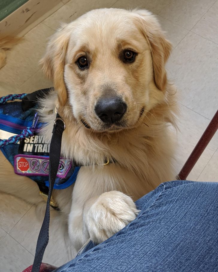 b1c98857669215449141cdf7fa