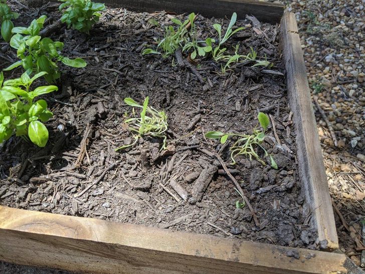 b1cf4959889c6acf5bce307c00