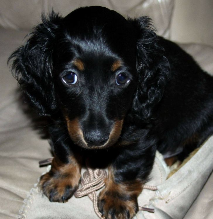 b1d25c5649bcbf206d0fd9879e