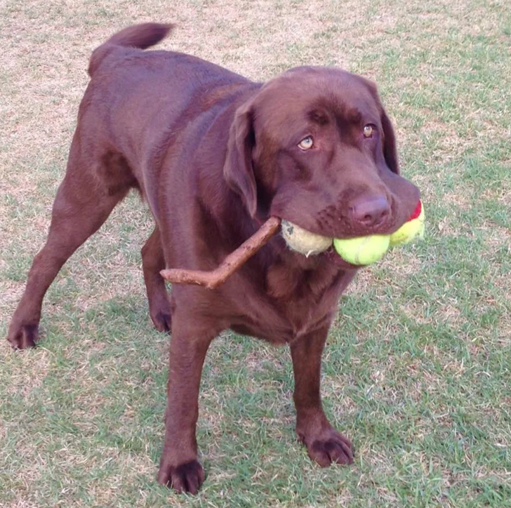 b1dc2d5d6dbdeff82413ade508