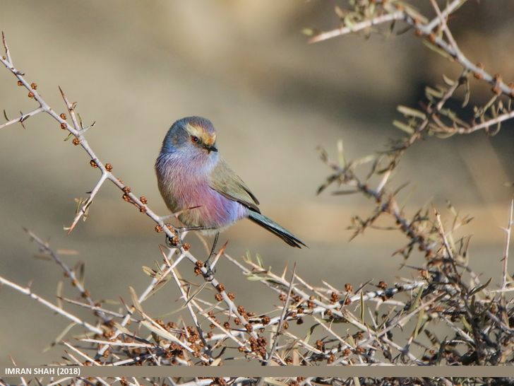 b1ddea5c5eb3f0b5abfcb90fb1