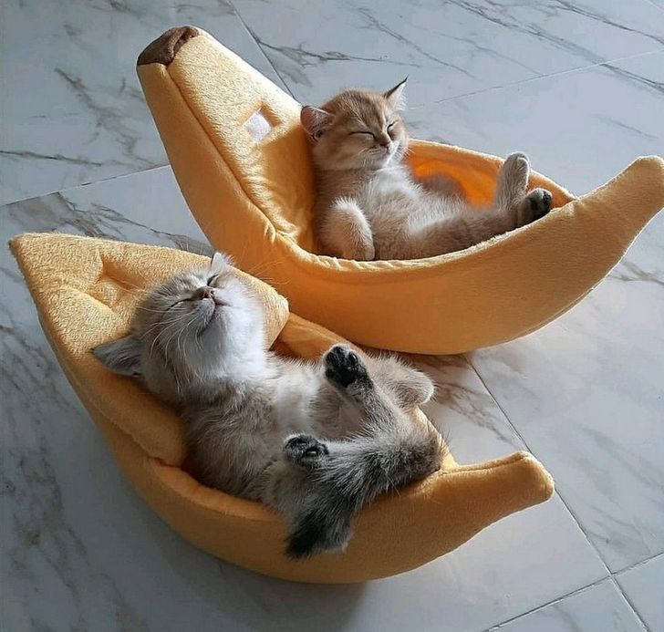 b1df3056d1ae2541b3d752ada7