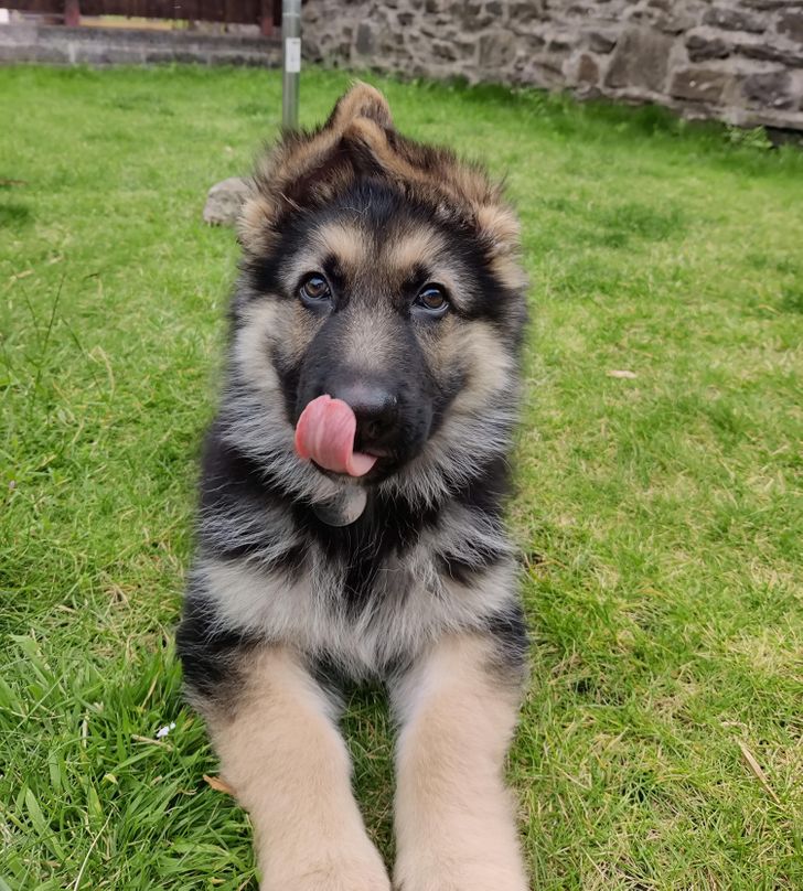 b1e2595aef8a4304e8fcccffb4 b1e2595aef8a4304e8fcccffb4