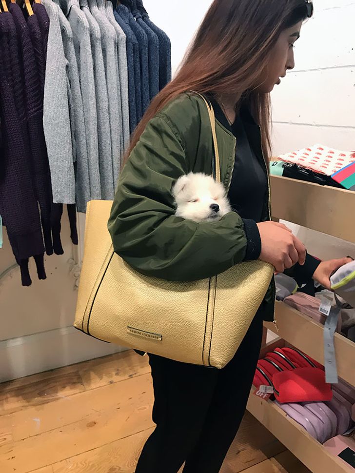 b1e3da5545b9f5c828e10c9b69