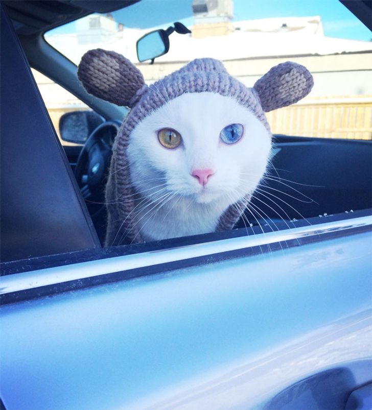 b1e3e65d23bc304828b042a4ef