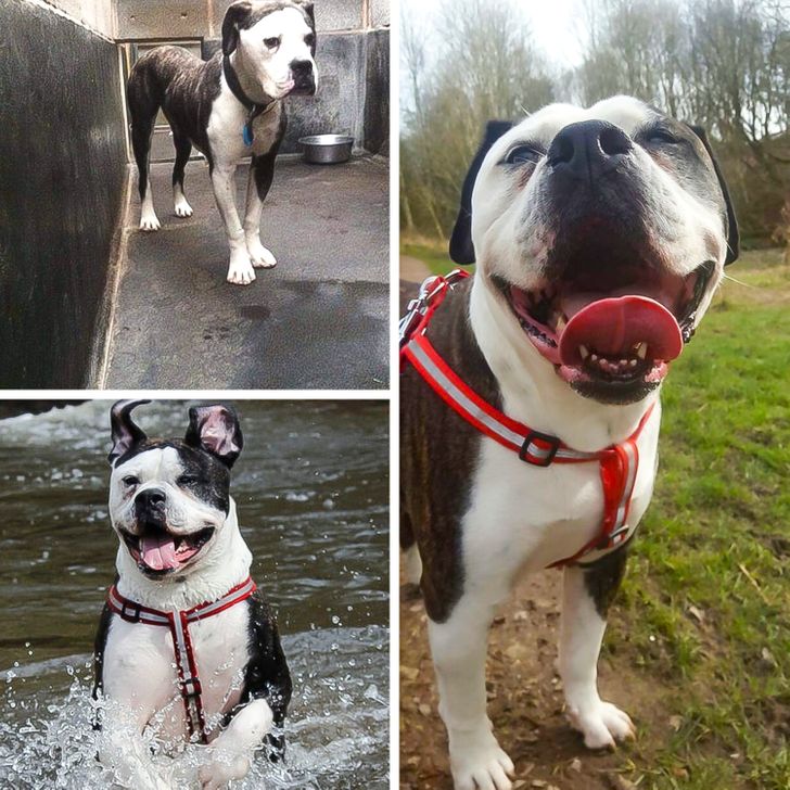 b1e78356a0ac2355b1b9359873