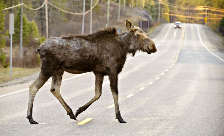 b1f5025d23a23cce5b9103175c