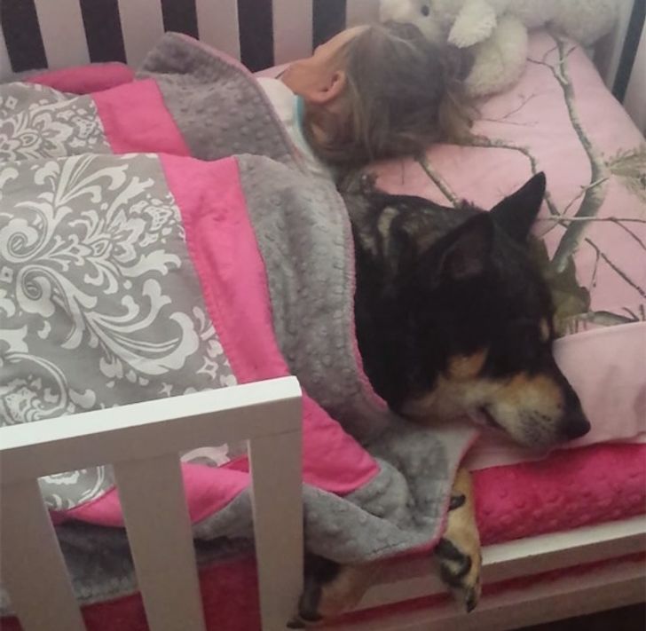 b1ff555abd8770424b2ac82072