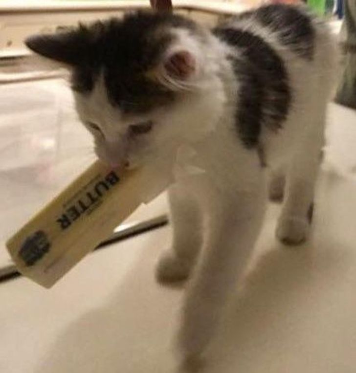 b201b757c285c99ffc4074dc5f