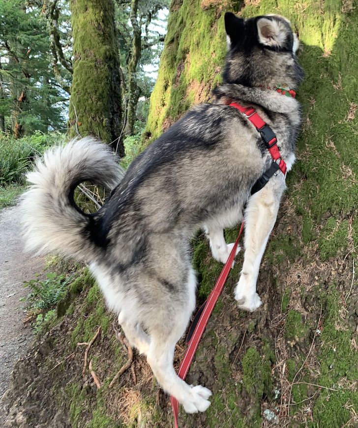 b20a3d5061bb71f866f9a4b24b