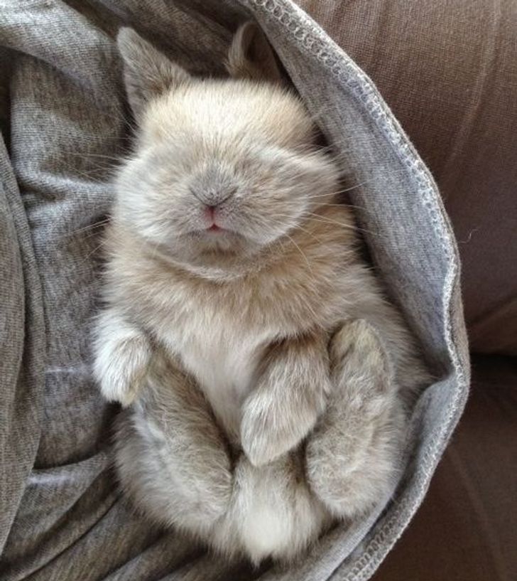 b20f1652c2aef6891ae74da2d5