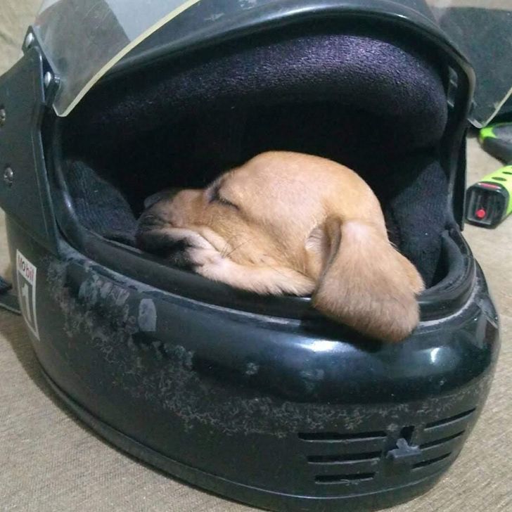 b2113f54898335d056521748f7