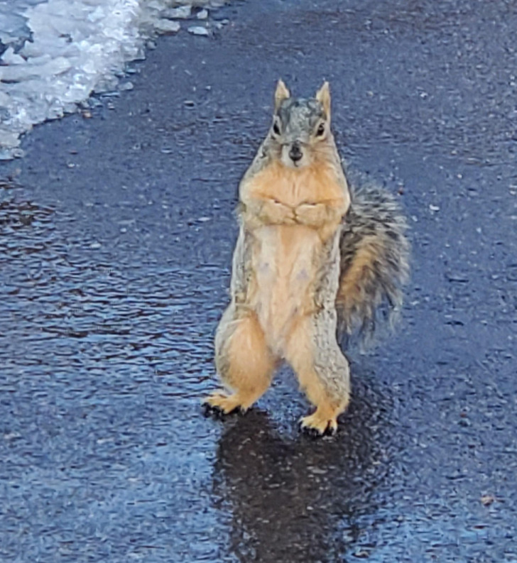 b21710521494ddb80f3cb6038d