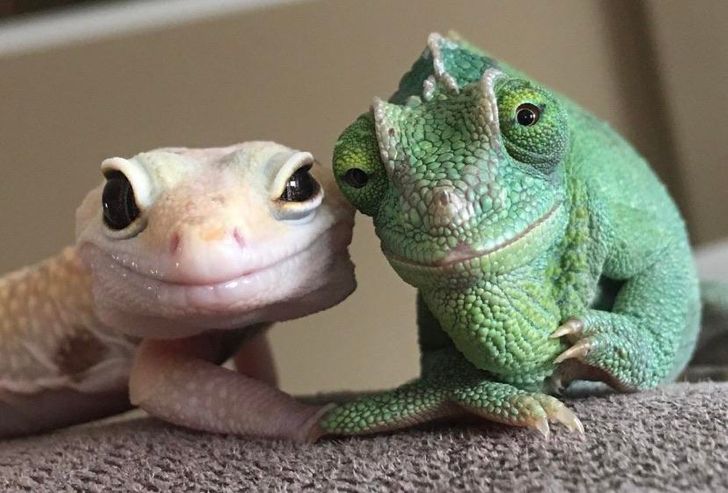 b2186c5ab39bd460e86f62fac4