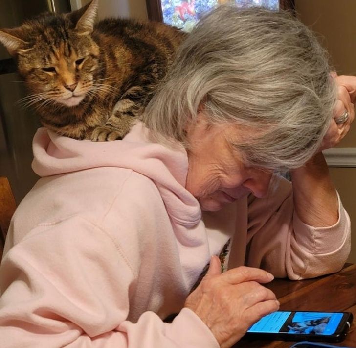 b21e655bf3ba67a9f7536eb87c