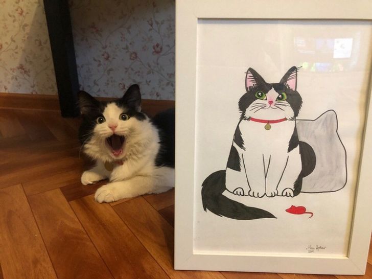 b2255c578daaf1bbf7179cd97a