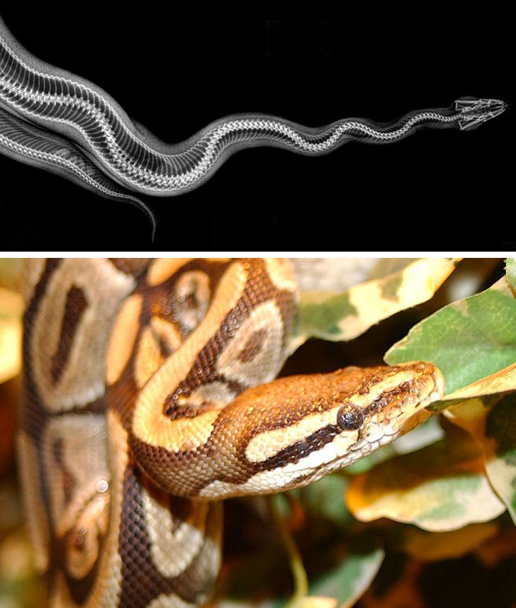 b2284c520491aa50c1e02bfb9b