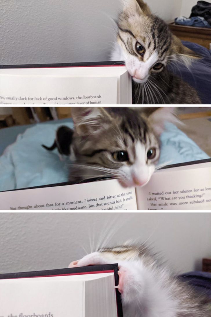 b228ab5e90af736ffe690f3efe