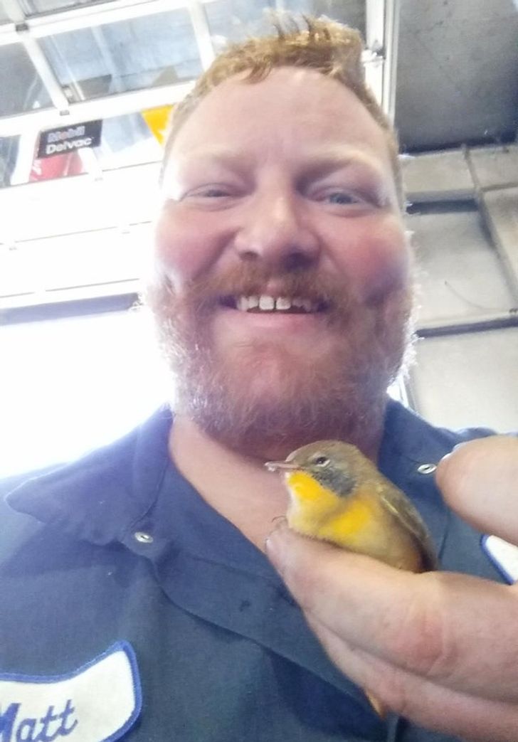 b22c575528b7742dd7b017573d