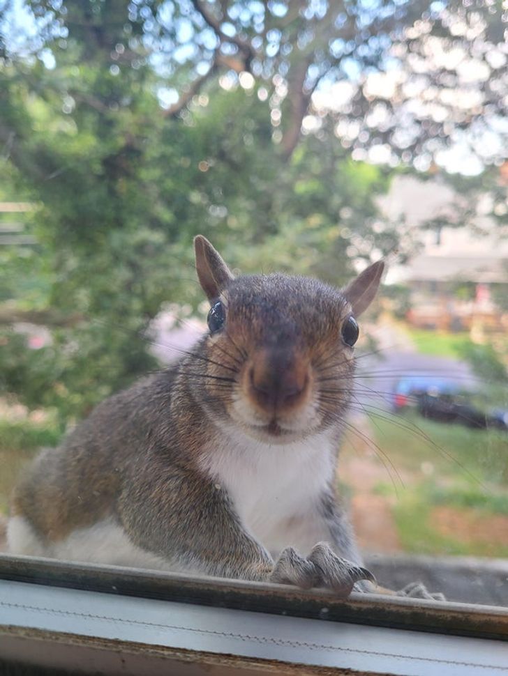 b23ad9583788c70f1a6bc8ac2a