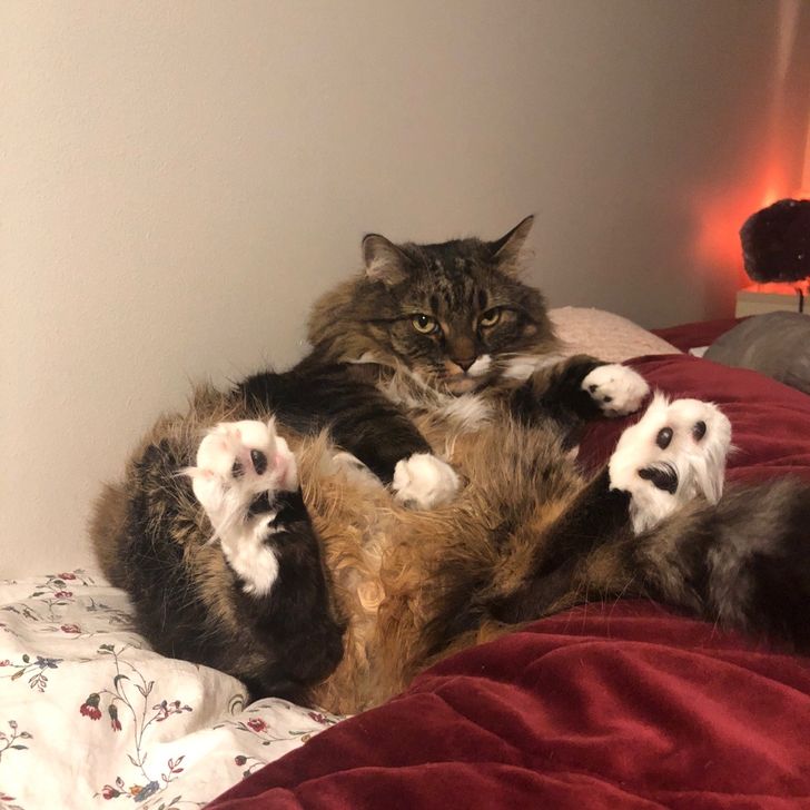 b24173528d988e716facff95d6