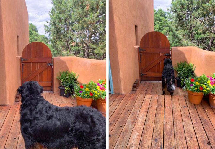 b2418a5db3b62b9d492e329bf4