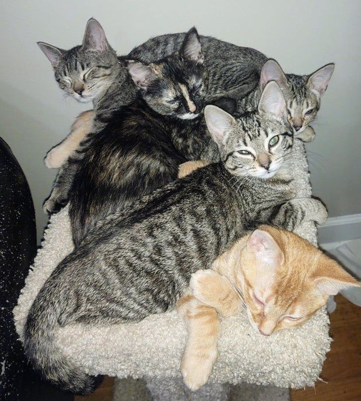 b248a45abd8937a53782c46c4e