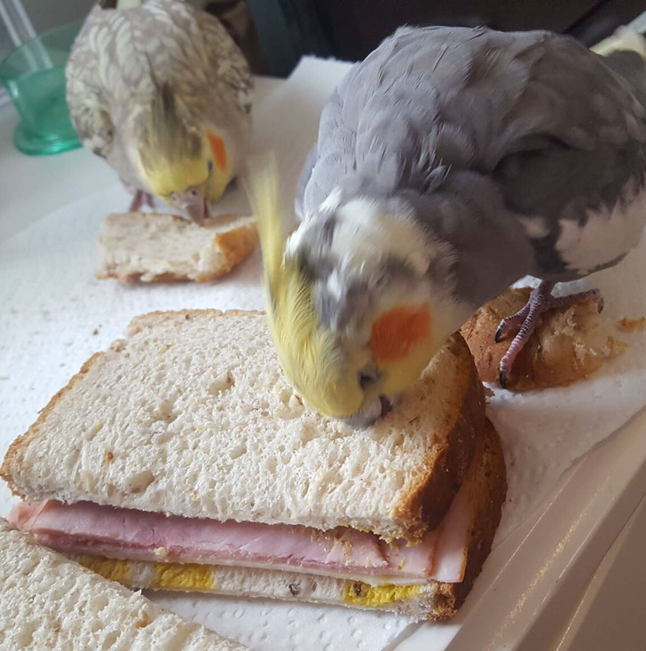 b24c7f5ffcb15a1cd63d7486e2