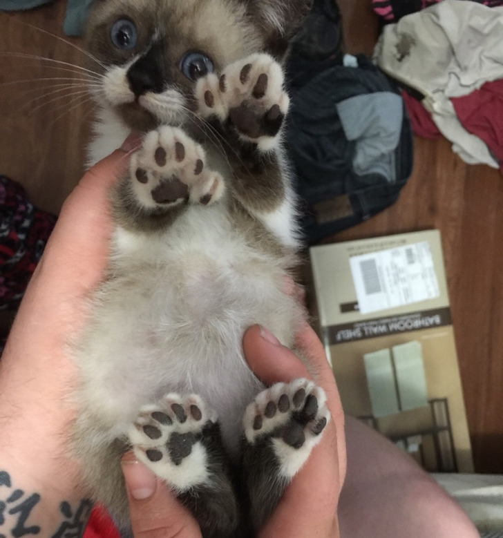 b251b957b884ca49d4245a6ac4