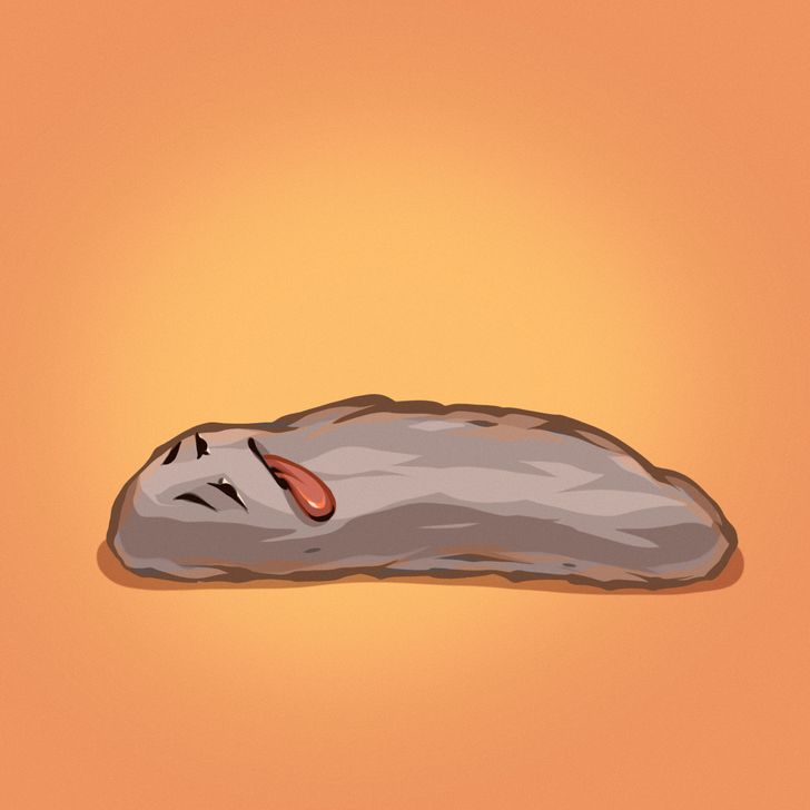 b2532856c08bc7104dfa629e86