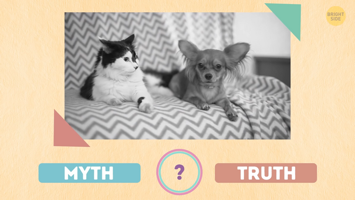 b25a255914b958134a9b935854