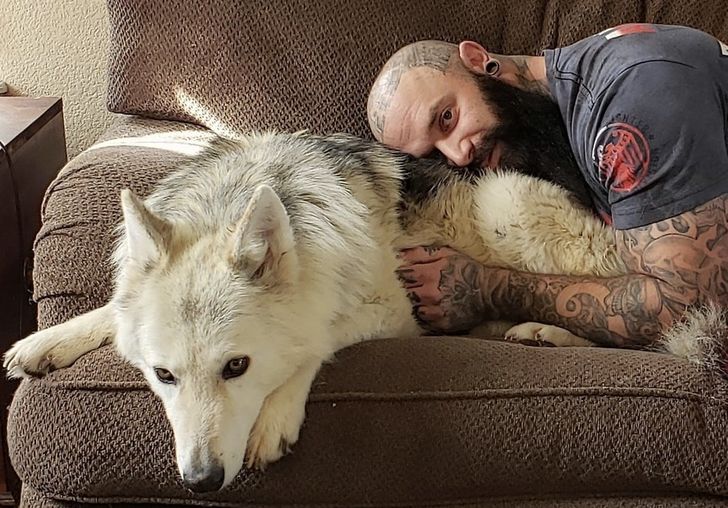 b25cb353128991ed845c0bd23e