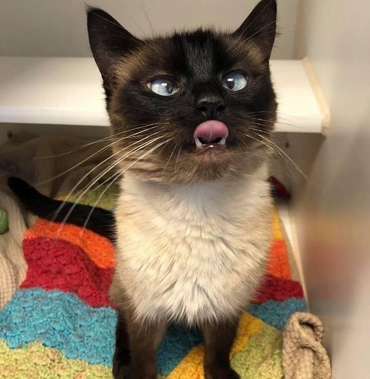 b25f5a561791ac0c6534f263cf