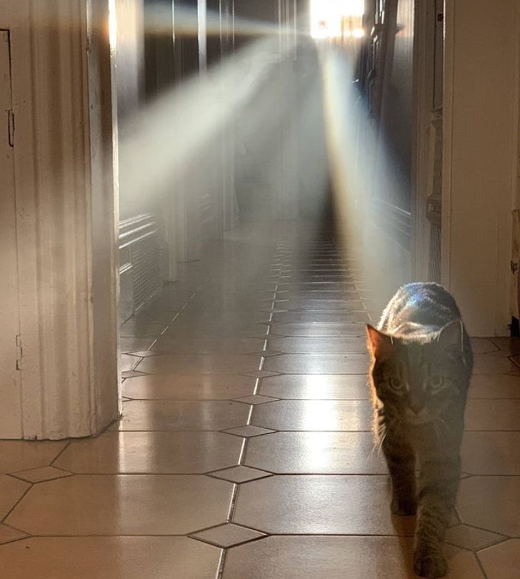 b25fe7596fbcf44e3047b37043