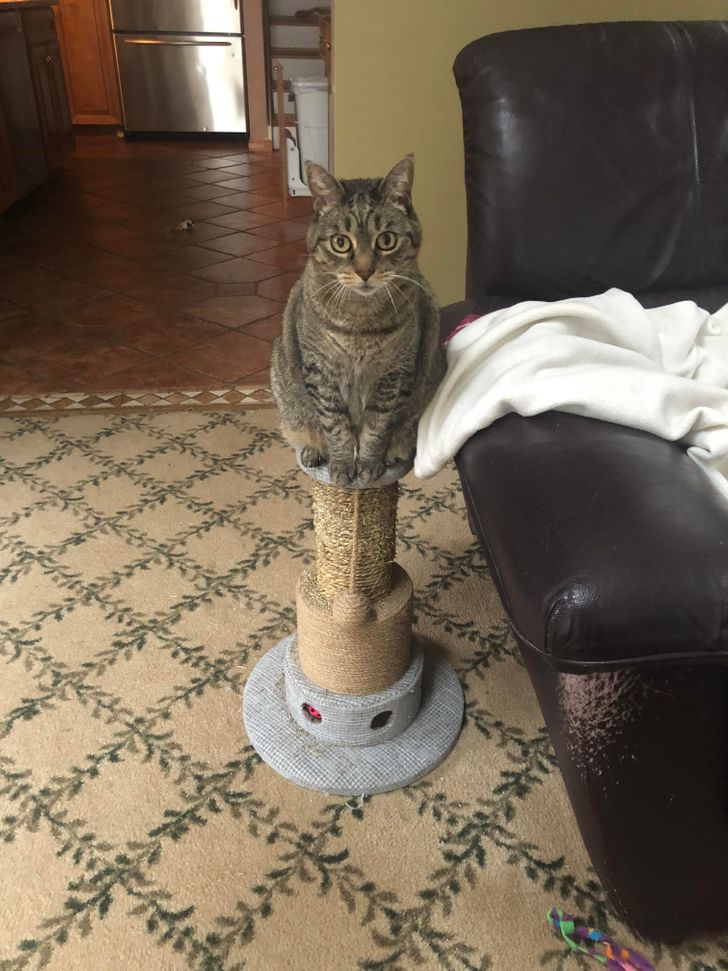 b2603950f18905742f47889f0d