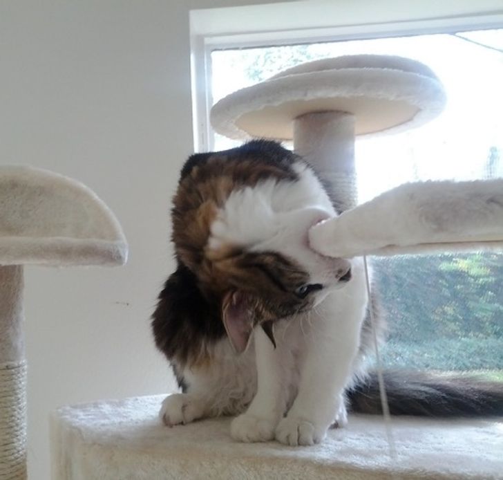 b26203520e8ebe167f7cbe00f9