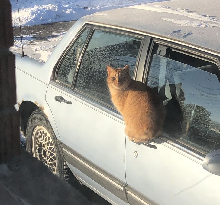 b263f654e6ab96ea889f4dc266