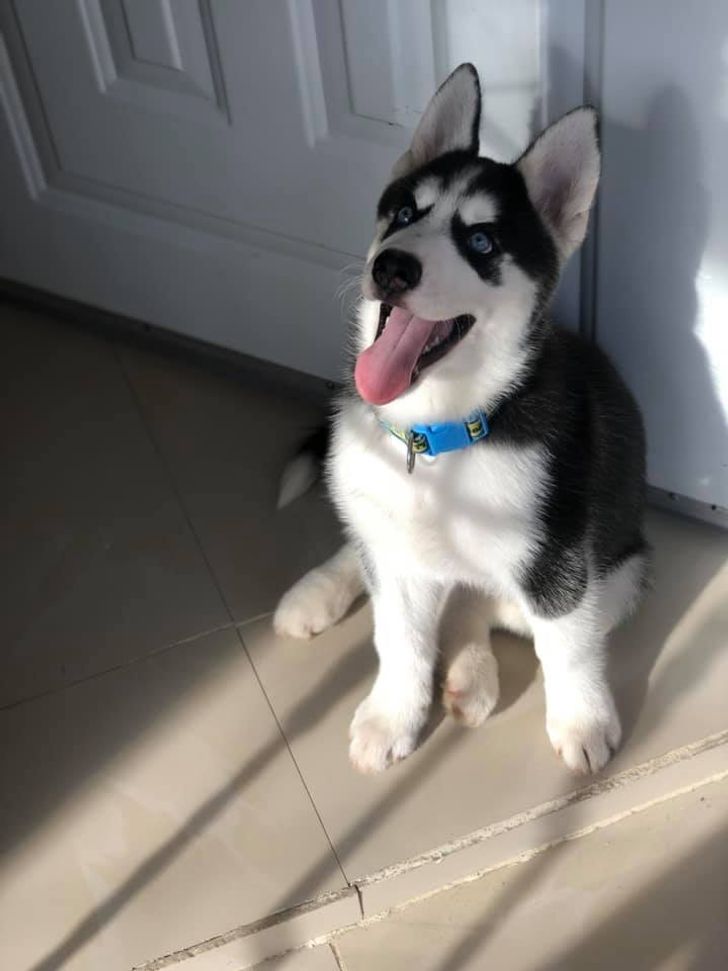 b267e95142b6fe34630cada7cb