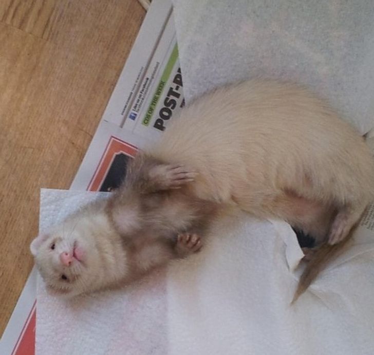 b2691358ebb37072f9e31398c6