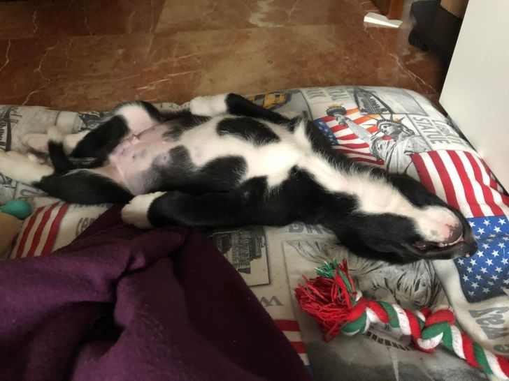 b276ca518e87bc39b1204d93f7