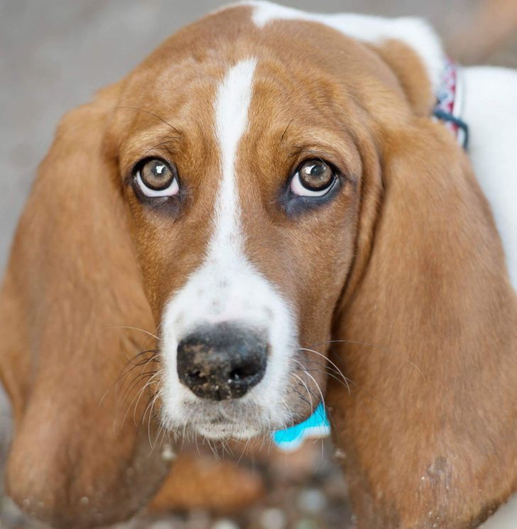 b277605c43ac824b6420836551