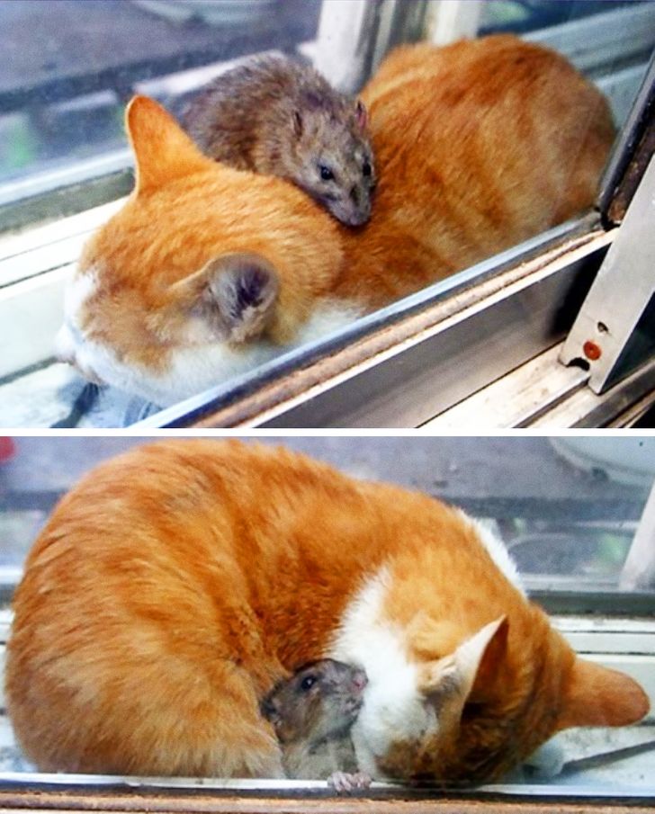 b278a8519f85e246628aff7ff3