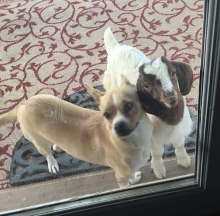 b27f1257008722cda9e1ec66cf