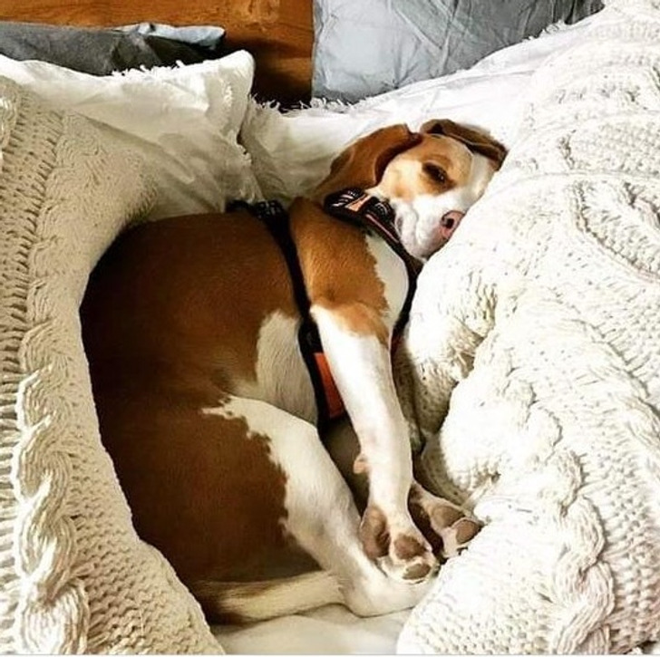 b280a95bc6b6c1f1928e06151c