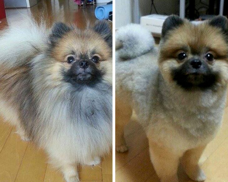 b282ae5459bc827f79df6281ca