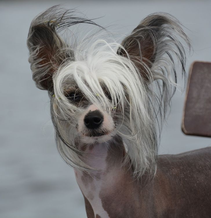 b284655191a463a2a38d93177d