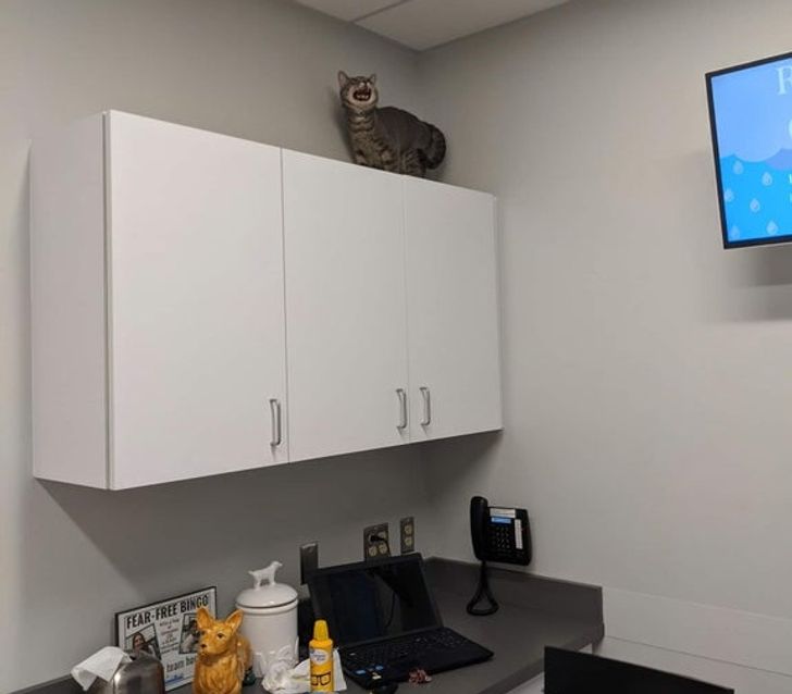 b28e715ab0aaa2b987a88b4d0c