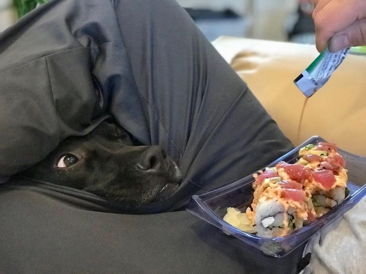 b293bf520abb1ef21ef2d4ac82